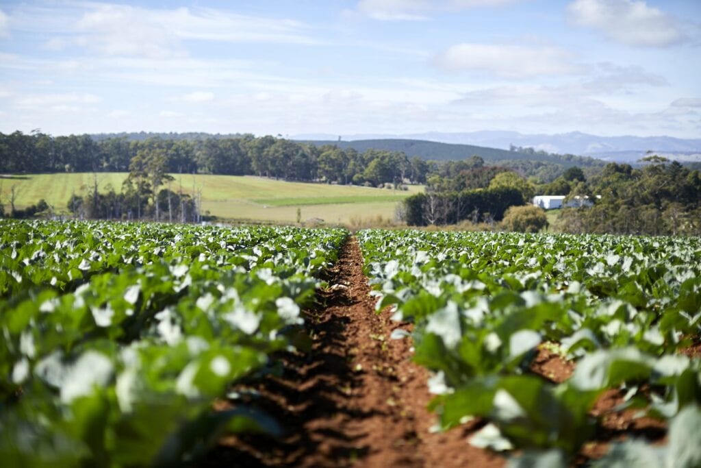 Authorised Worker Permits - Victorian Farmers Federation