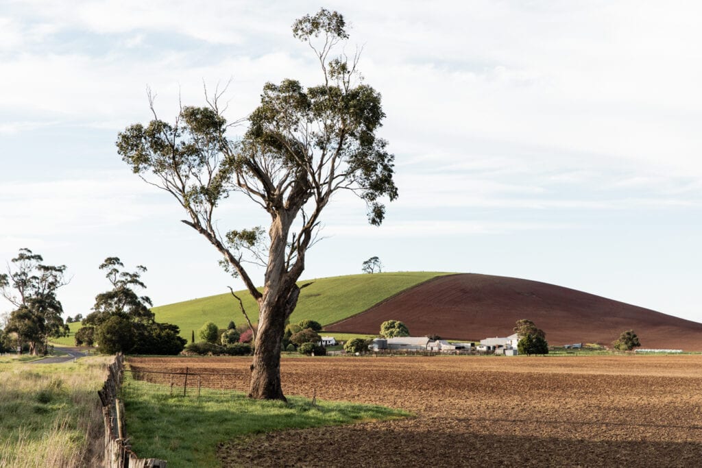 VFF Welcomes New General Managers - Victorian Farmers Federation