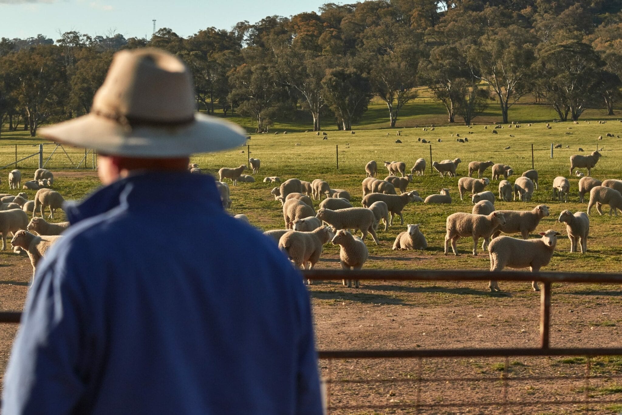 Animal Welfare & BioSecurity | Victorian Farmers Federation