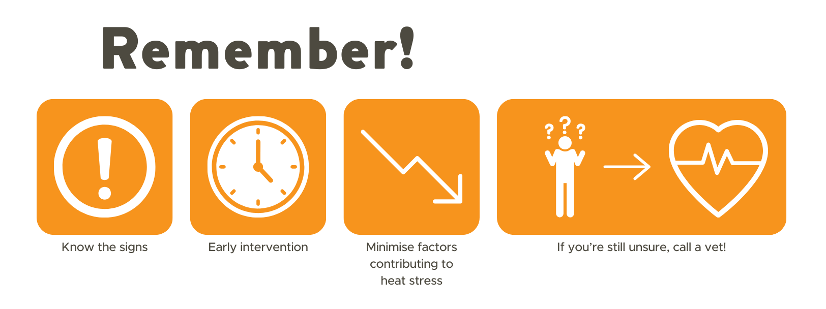 Heat Stress in Cattle - Stock Sense Factsheets