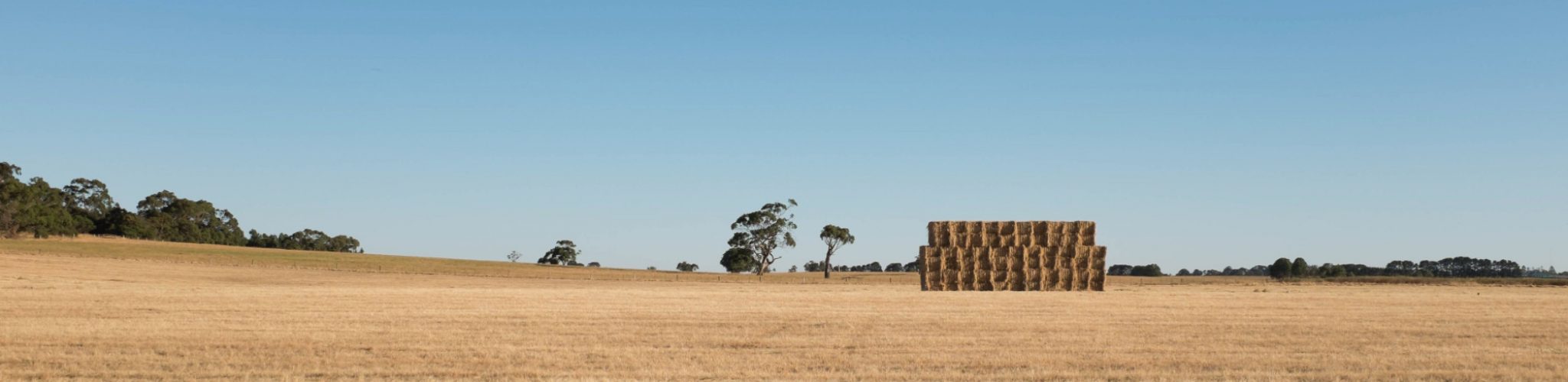 Rural-Victoria-square-hay-bales-2